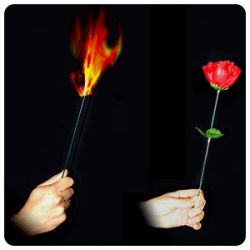 Foto Torch to Rose - Easy