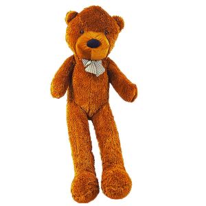 Foto Appearing Teddy Bear - Large size