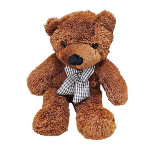 Foto Appearing Teddy Bear - Small size