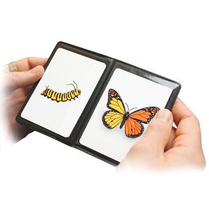 Foto CaterFly by Magical Project