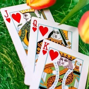 Foto Butterfly Seasons Playing Cards - Spring  (marked)
