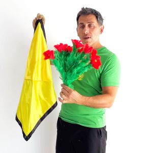 Foto Color Changing Hanky With Flower Production