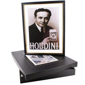 Foto Houdini Prediction Frame