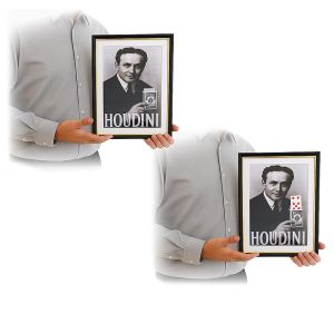 Foto Houdini Prediction Frame