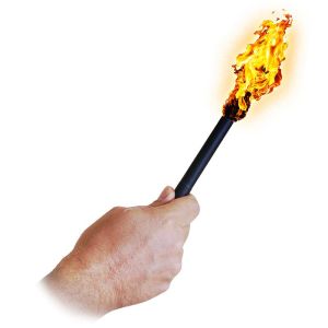 Foto Fire Torch