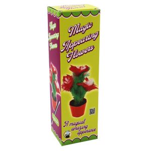 Foto Magic Appearing Flowers